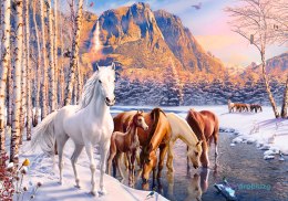 CASTORLAND Puzzle 500 elementów Winter Melt - Konie zimowy krajobraz 9+
